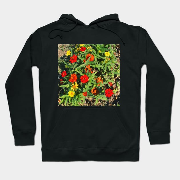 Pretty Red Orange and yellow Flowers with green leaves nature lovers beautiful photography design Hoodie by BoogieCreates